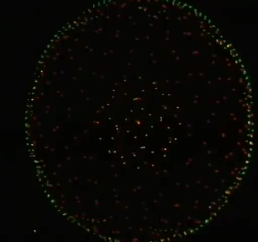 Permutations by John Whitney Sr.